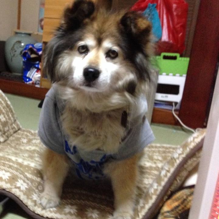 Ba2c6a51 eaaa 4292 8e2f e7ffac534b8d 1563234355445