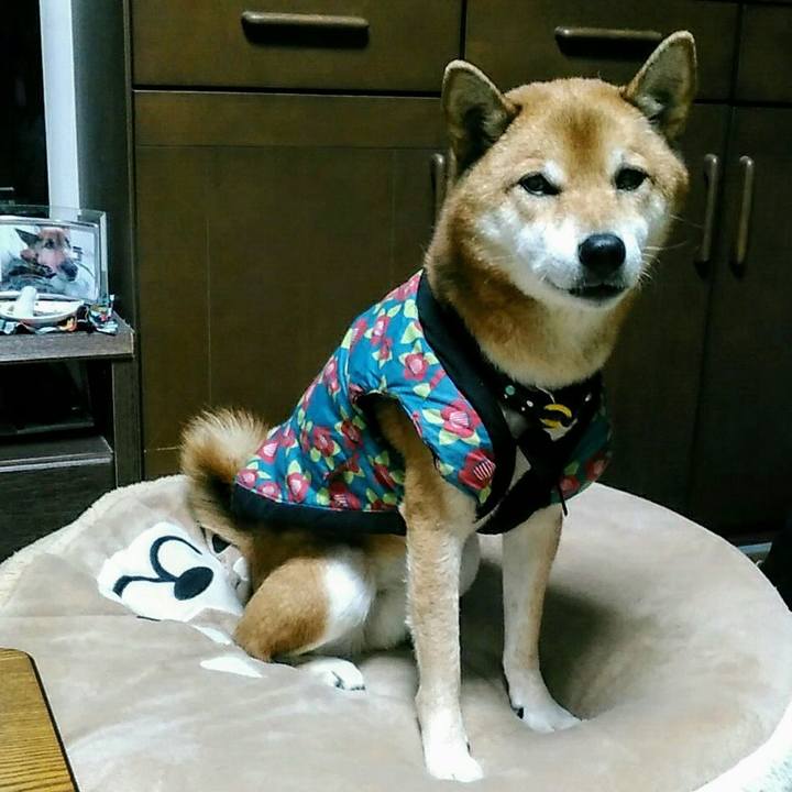 Ba2c8e50 726d 4164 931b 469ce8625a86 1573463968885