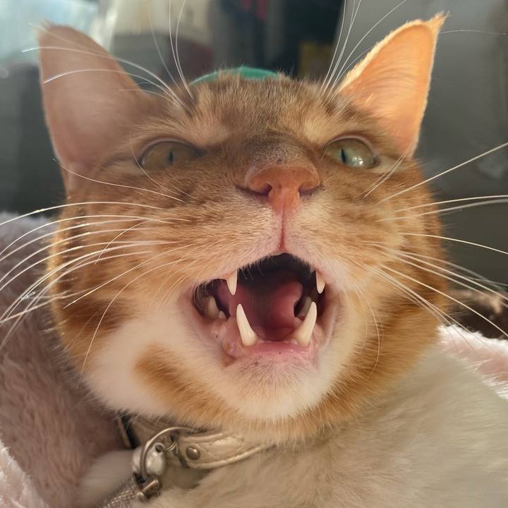 Ba2cb005 9725 485c bb07 0bbf8807d919 1641643048630