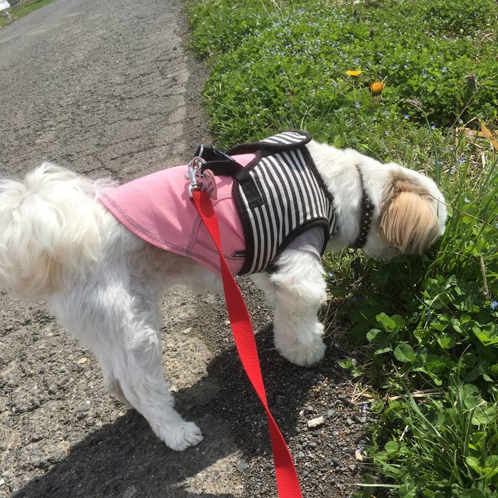 Ba2cb244 1912 4af0 b616 10edc63dc57f 1521864484058