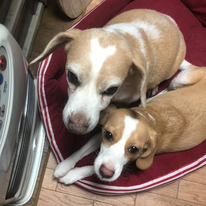 Ba2d08c7 2e17 410c 8899 cfc7663869cc 1575781234359