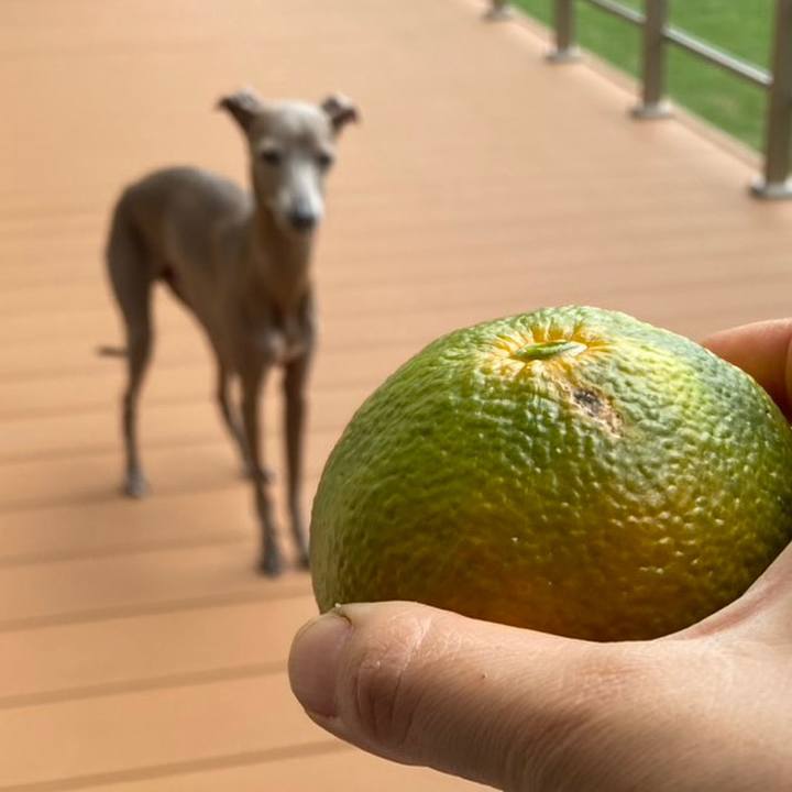 Ba2d1afd 7dfa 4e7b 906e 8928841d6f14 1760764914551