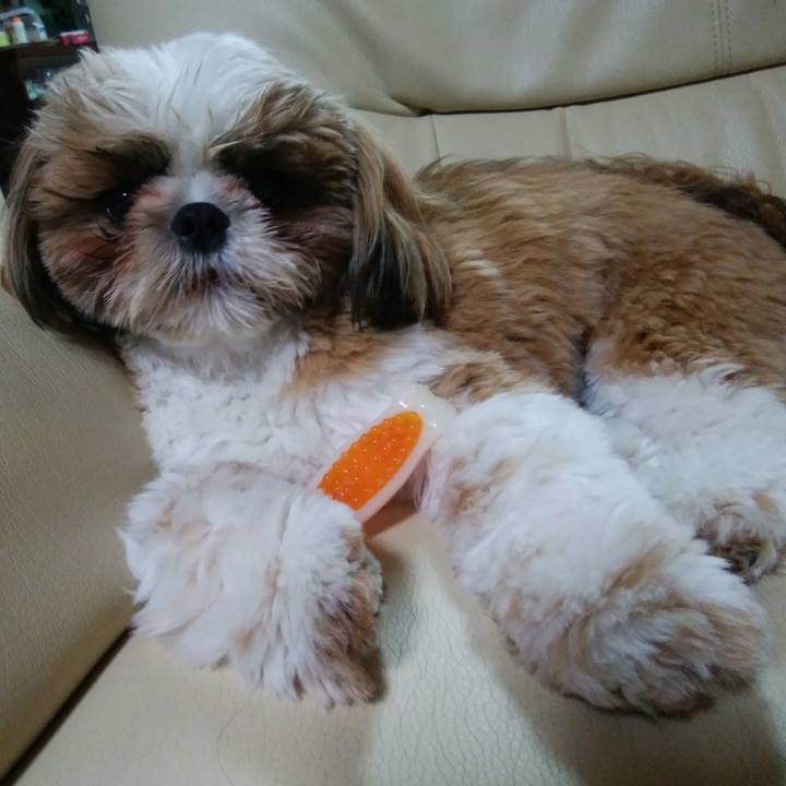 Ba2d412a 78c5 481d b014 1140ed6a68ab 1553781014871