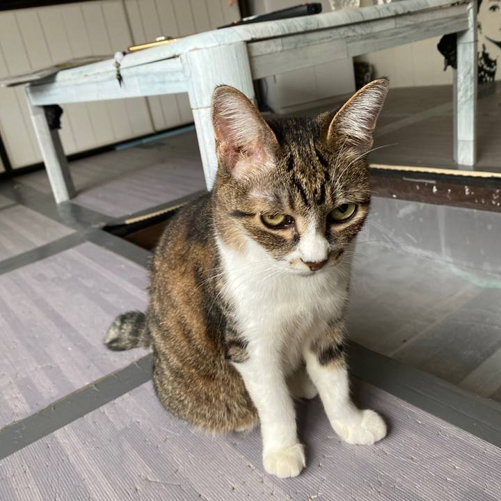 Ba2d50e8 6606 429b 8f31 bc870dc02b80 1663461694617