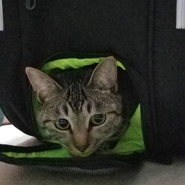 Ba2dcf28 6f54 4c13 b7cd 7fe6e6c08181 1687530846304