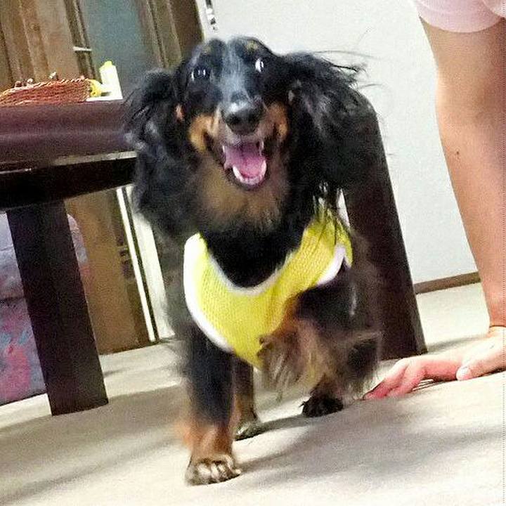 Ba2de94f df5b 4a34 886a 46d1e4dc0bb6 1534129794964