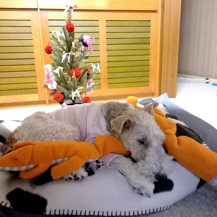 Ba2df1cf a62a 4dac b045 739b732c8e07 1608898332241