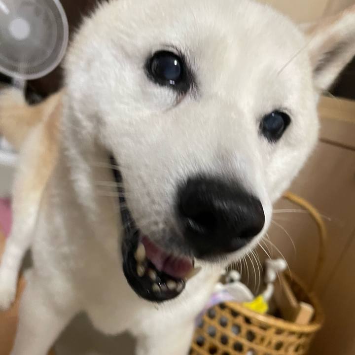 Ba2e2294 42db 4867 9e56 40922ddc5f88 1690549248462