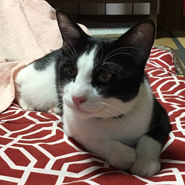 Ba2e63ed 09e4 46a0 aab1 3ffb01fa7280 1635582123023