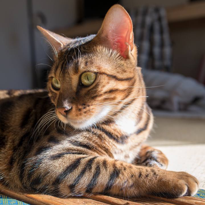 Ba2e7d67 290f 4843 b6d6 c2a0ff626fed 1518605138953