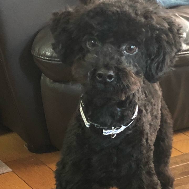 Ba2e8a5a 1773 486f 8b92 debece7b9097 1512426307764