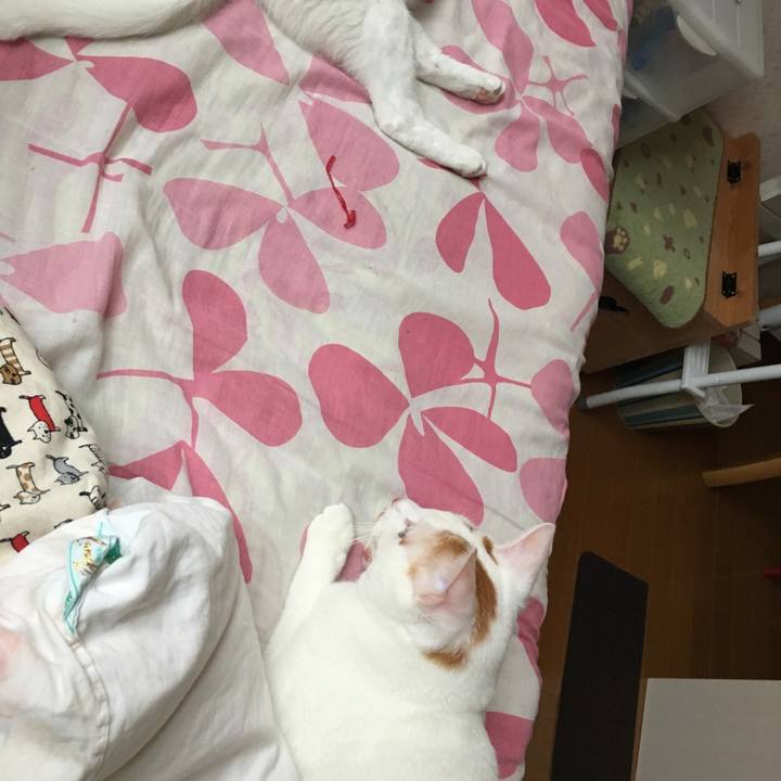 Ba2ee0fa 13e1 4138 a5f5 4d4873fa3d33 1527714918089