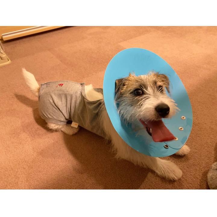 Ba2f1d87 b4a5 47e6 aa34 6203d5910965 1569041612947