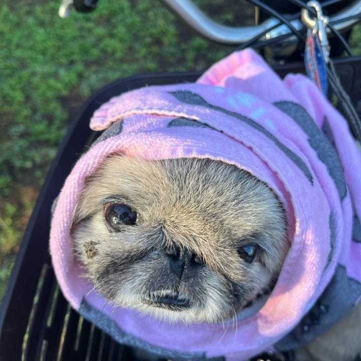 Ba2f31bd 6a7f 4eb6 addf 34ab3d0c8116 1760654922519