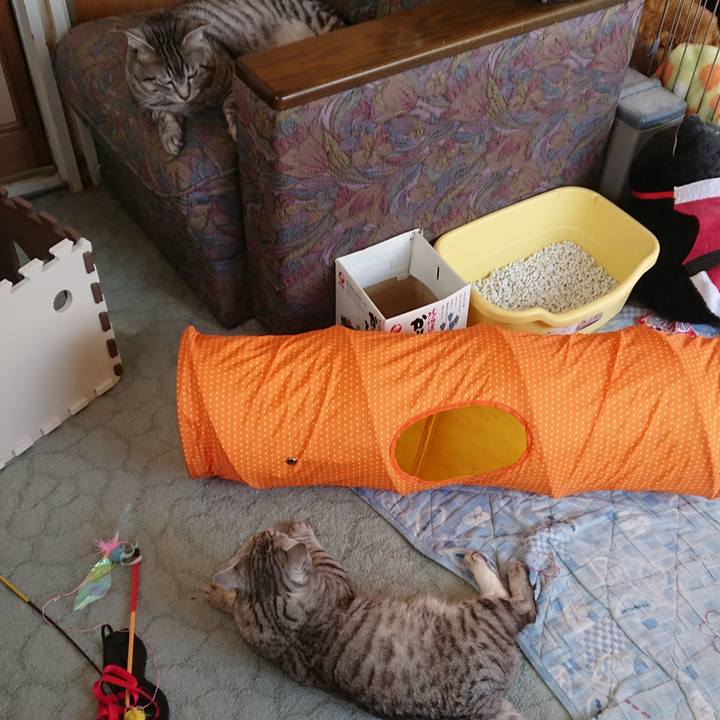 Ba2f8e82 7e9a 46ce b568 d13125265652 1519605639296