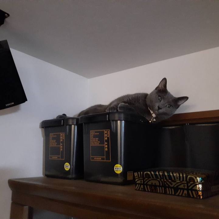 Ba2fc405 0170 4cf4 94a0 ec3487c01091 1628080585249