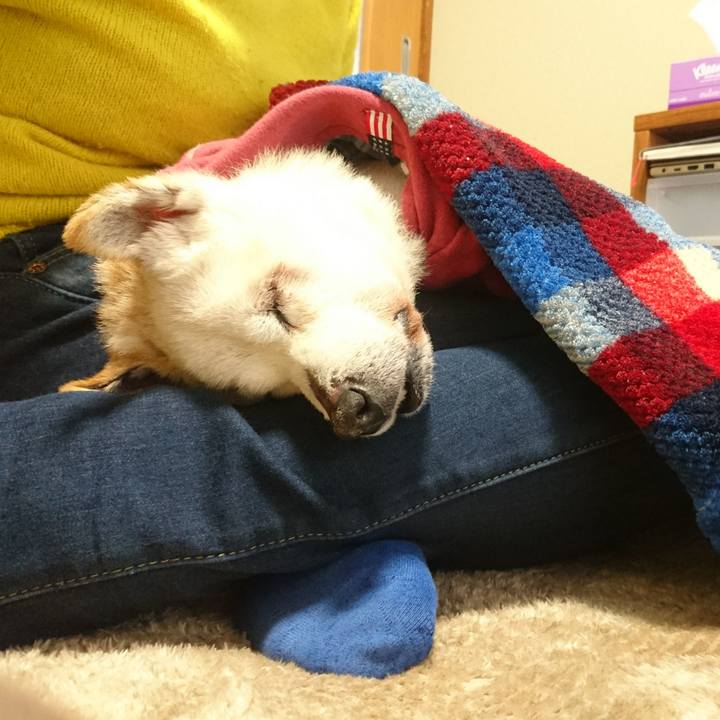 Ba300512 38cd 4828 a6e7 7e9526d0c9ad 1548550617859