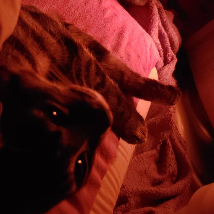 Ba3008e4 c14e 4856 84cd 4c04abdcf3a2 1545122814377