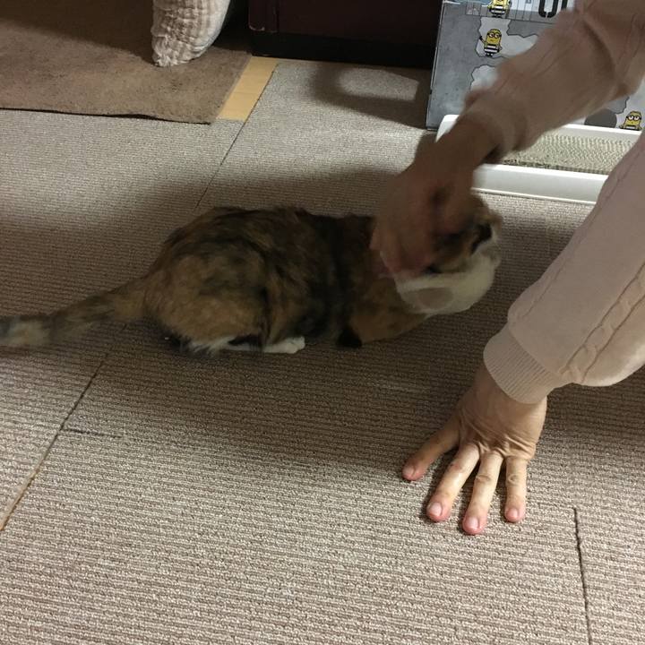 Ba300a4d a2c7 41a9 8cb1 a380d1a4eeec 1517487007070