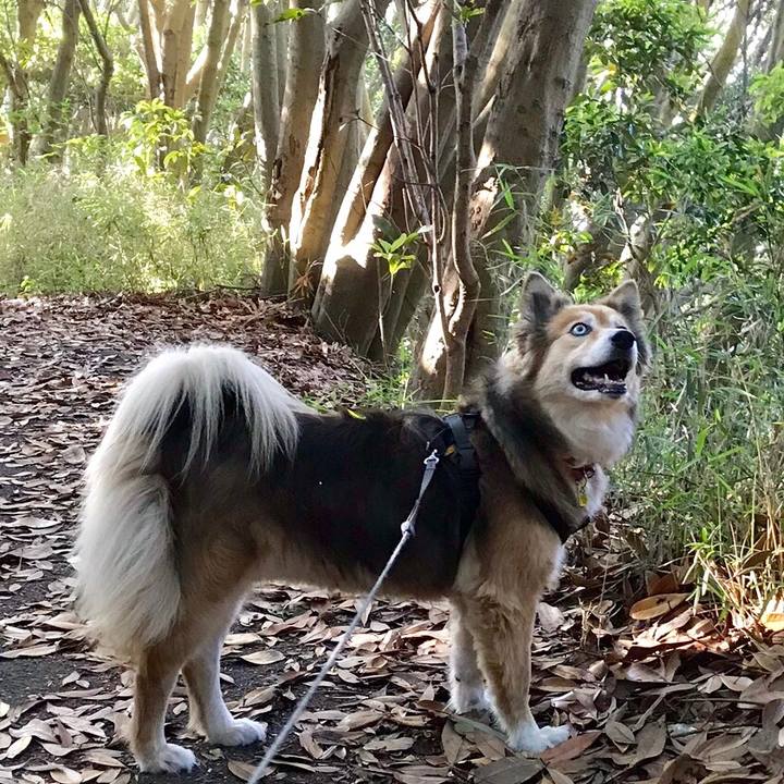 Ba3048e2 5d98 47b2 92f1 16ca410b62b9 1558825071943