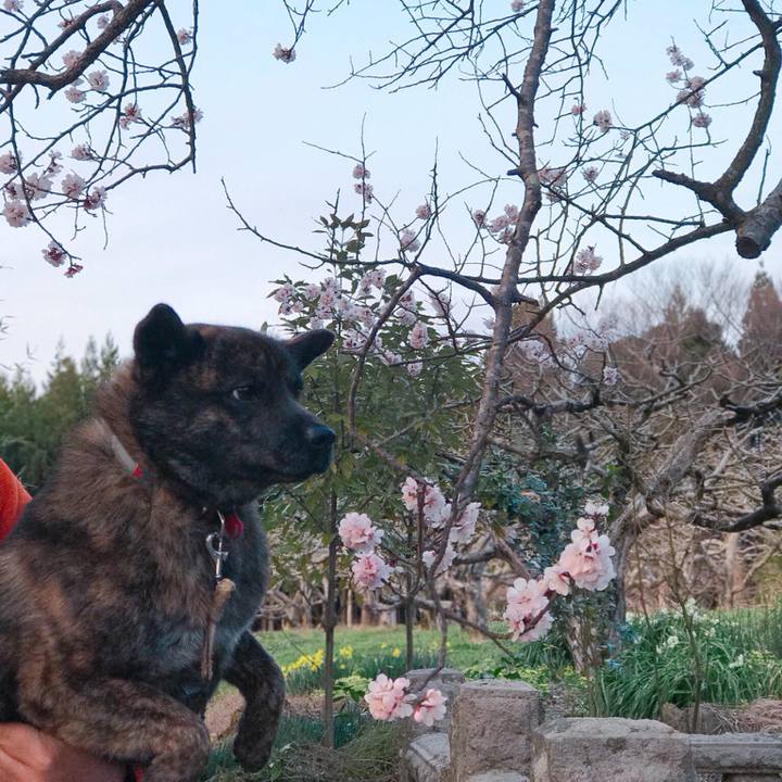 Ba30711b b531 462b a12f d0660bef9a70 1522490750277