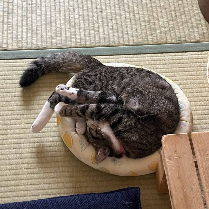 Ba3073b3 8d08 4977 b20c 803e19360978 1717911534217