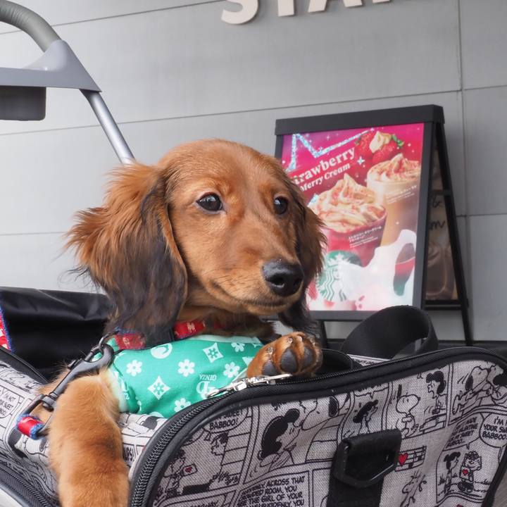 Ba3079f2 a89e 4c72 b8c4 a80b5f6b2235 1699540119268