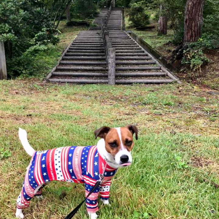 Ba309336 dd6b 4ad5 836b c8aa5feb9bb9 1568241826334