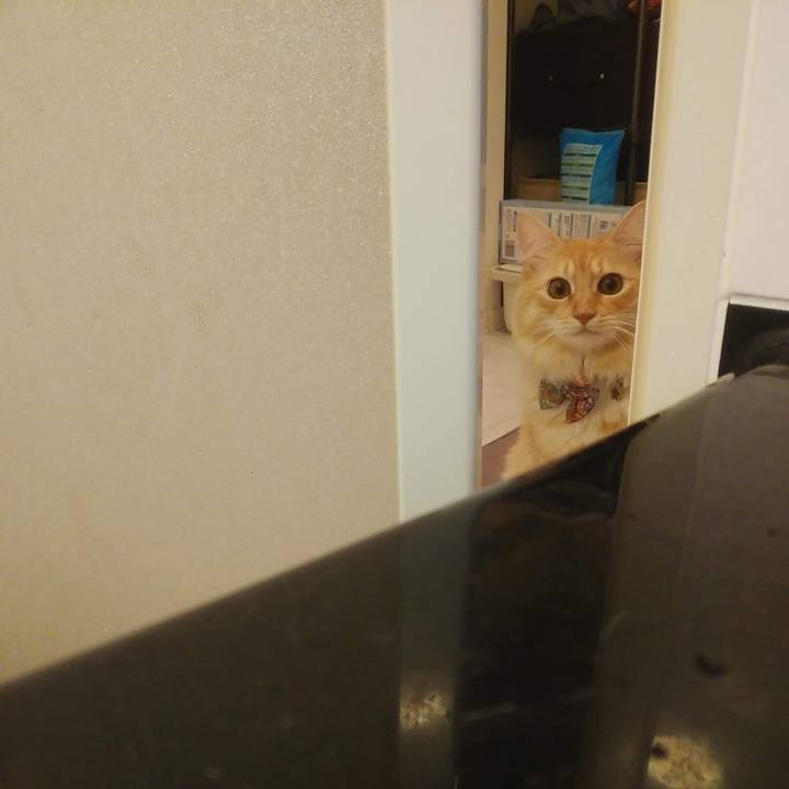 Ba309541 7268 4f68 a5c0 fd6eaba394f0 1636714633101