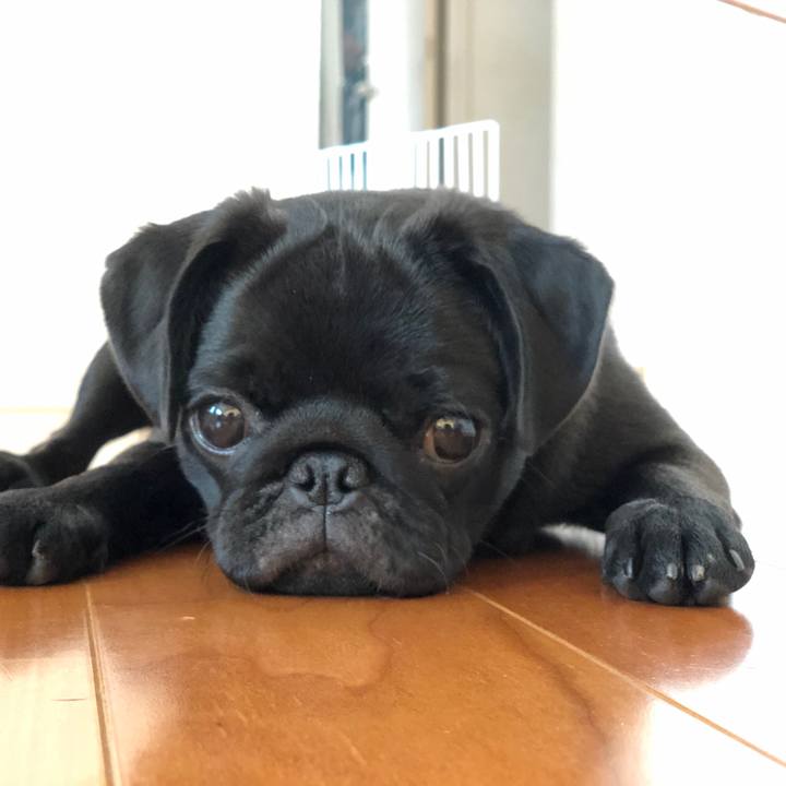 Ba30db13 676b 46d7 9294 3a771da7d070 1593424720433