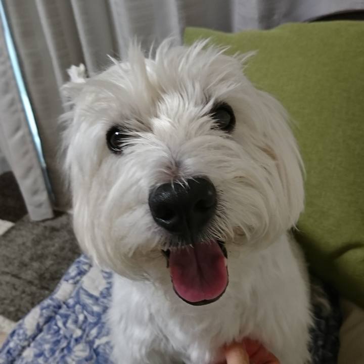 Ba30fd34 a1ca 4ec1 9c1c eda444611a8a 1534853229422