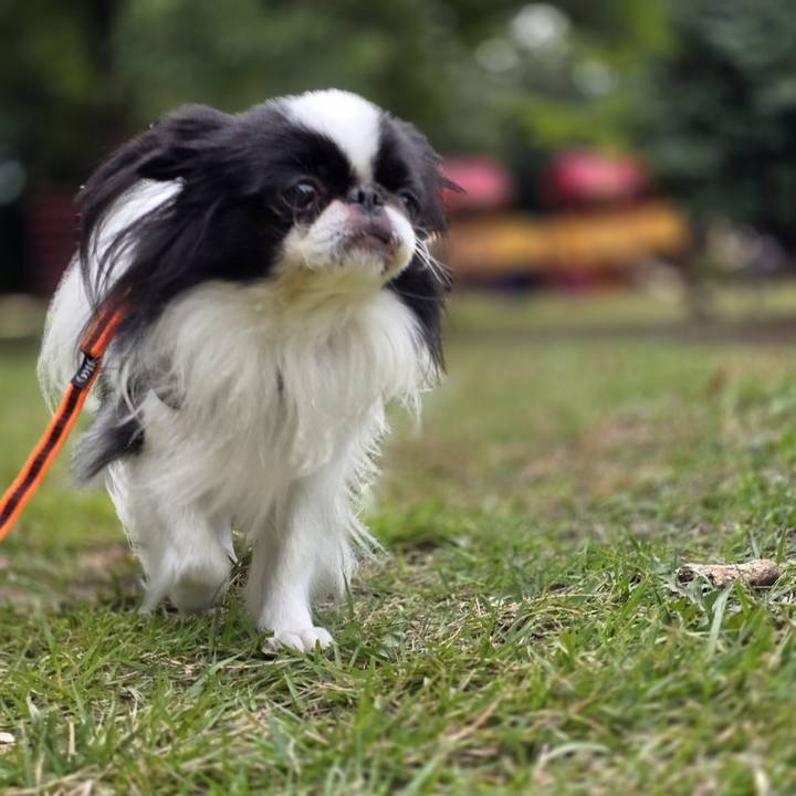 Ba3108b9 b5e1 4505 a04e ae3a6fd9bd67 1760512732381