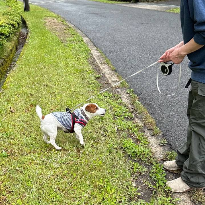 Ba3112b9 9ac2 4718 870a 612440ca3955 1711702101748