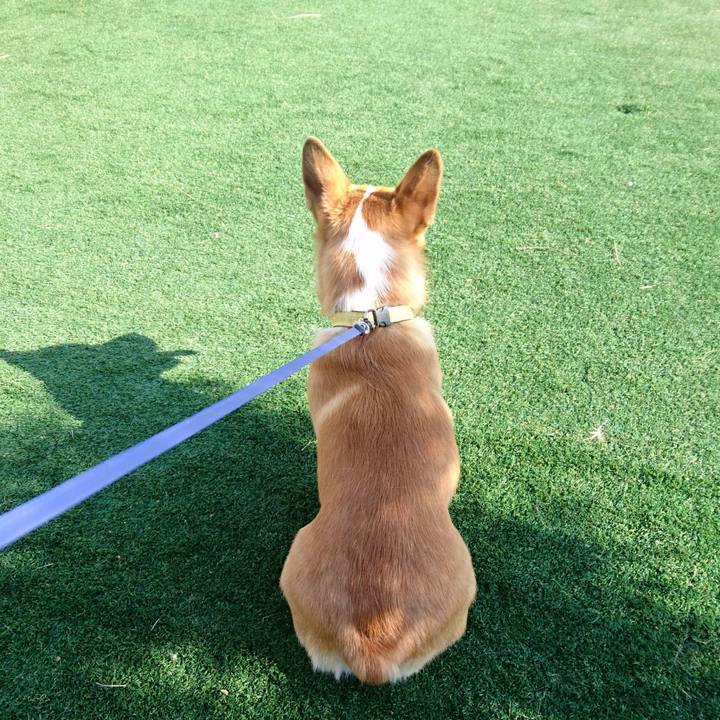 Ba313093 8a44 43b5 96b4 b8ab43161740 1573879649115