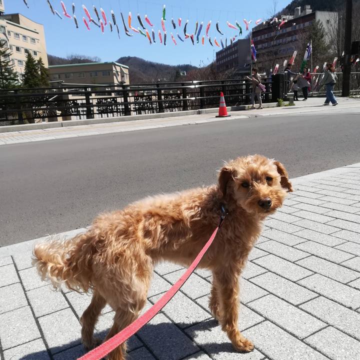 Ba315177 e579 4a54 a680 18e13e2c1f32 1556423465472