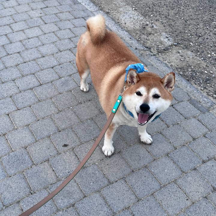 Ba317244 2345 4409 80fb f5581ed3fac4 1721383065299