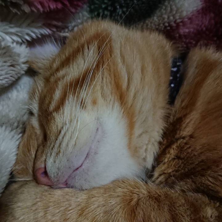 Ba31a6a0 759c 4f47 8f84 1bdda0c29b2b 1644151841389