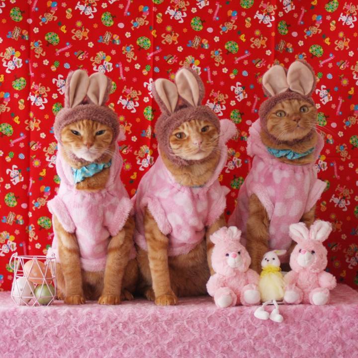 Ba31f55e 40ed 447d b5c8 bdb6d6478277 1745122493172