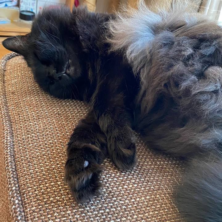 Ba32194a e922 46fb a06e 06b48096020a 1623039131559