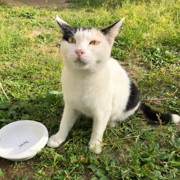 Ba324770 0297 402f ae8e 941325322bbd 1599347477190