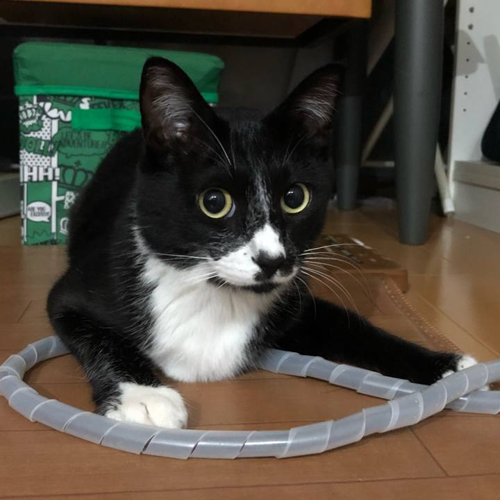 Ba326d01 aece 4c1e 8b3a 2f0ce41f3387 1533700623132