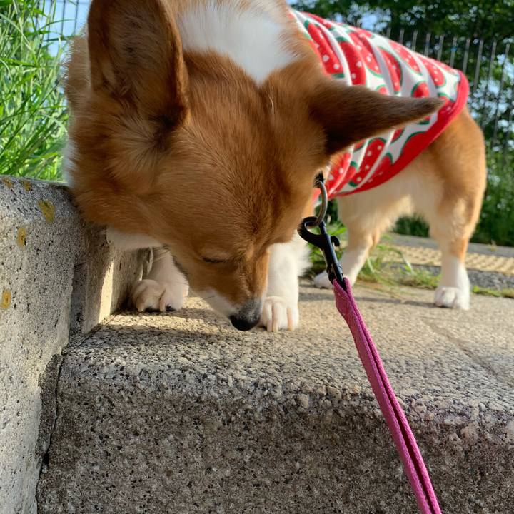 Ba326da9 d1d9 4e74 9998 087367d31f94 1590273869797