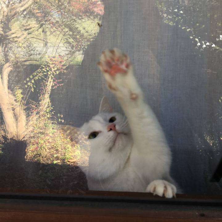 Ba328126 ac23 40fc 84db b62f3327387f 1552446347428