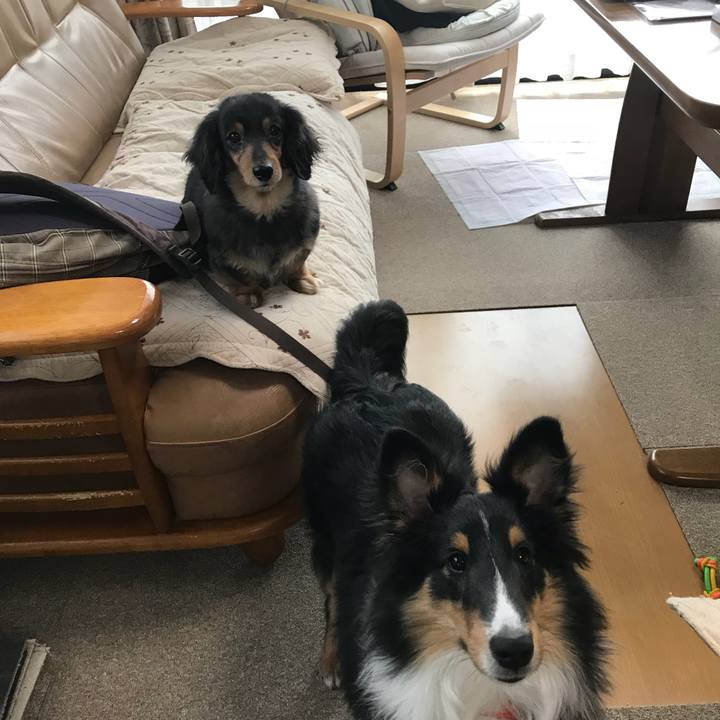 Ba3317a7 70c6 47d4 9a22 bee9fd28565d 1521327871419