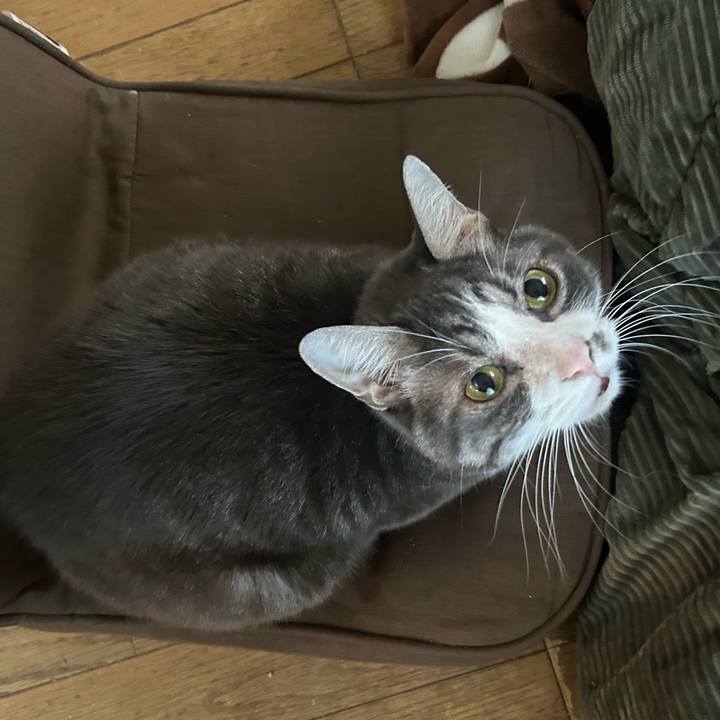 Ba332848 b180 444d 89c9 591c72bcb592 1764860392286