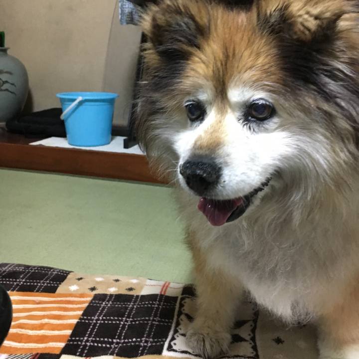 Ba3390c1 1a81 49f8 9bd8 eddc971826b0 1624516522416