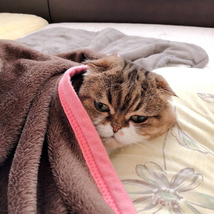 Ba339683 49c8 441e 90ca 8beb4d181032 1546434371030