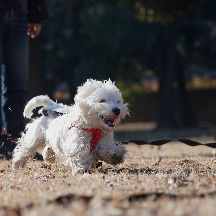 Ba33a547 96d6 4250 84d8 b03ee1e3a434 1514095222882