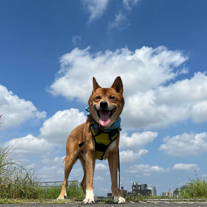 Ba33aa24 70b1 4e87 ae9b 536076f7fc7f 1687656903030