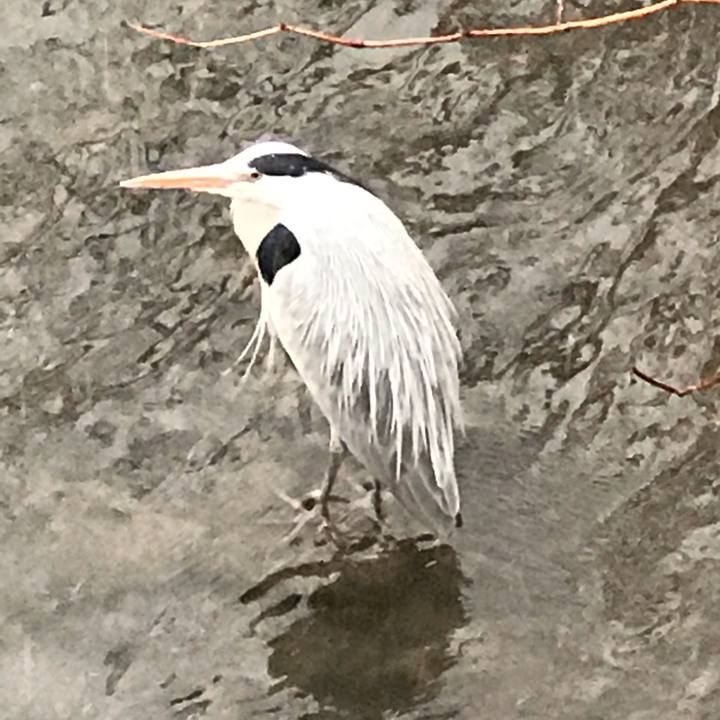 Ba33e741 9fe9 47e5 9f05 fa0ac4d408e7 1583924335979